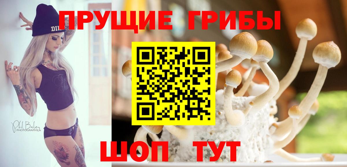 Псилоцибиновые грибы ЛСД  Вход с VPN  где можно купить   Архангельск 